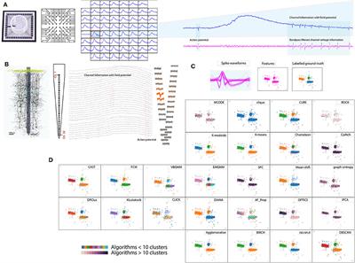 Compatibility Evaluation of Clustering Algorithms for Contemporary Extracellular Neural Spike Sorting